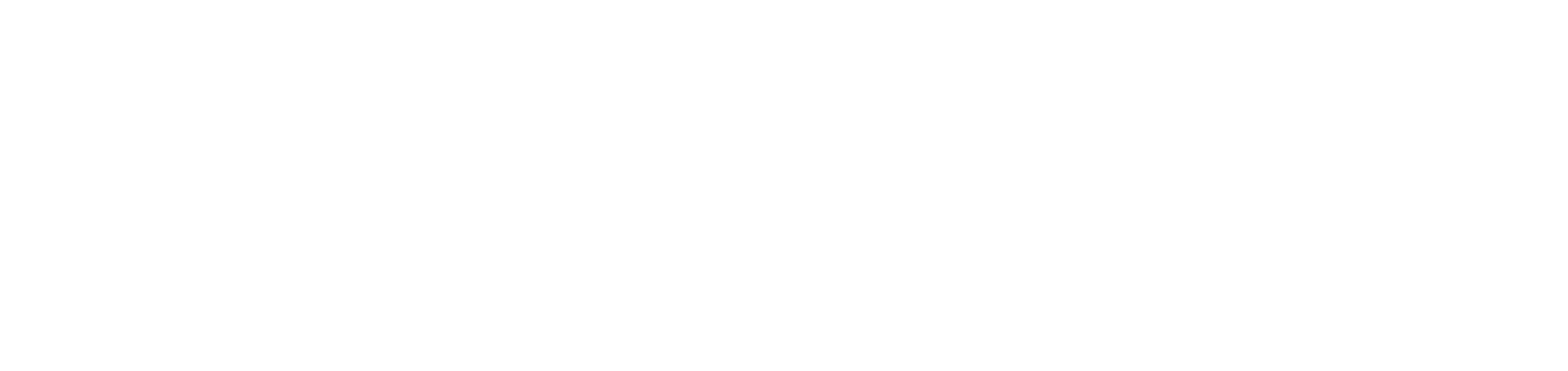 The Rovers World